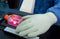 Why are Nitrile Gloves so Expensive Now - & When Will They be Cheaper? - Primo Dental Products